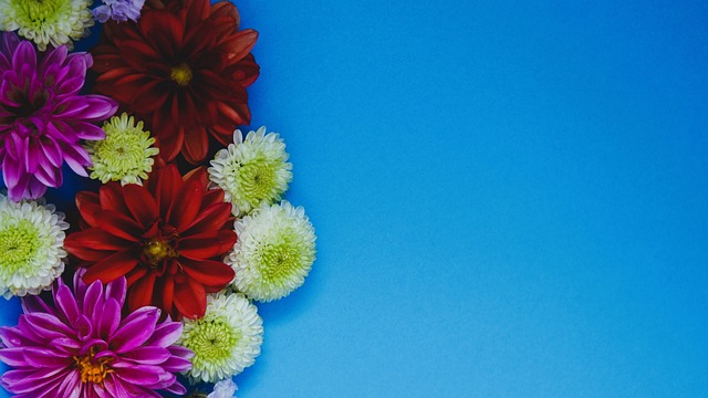 整体战力不 整体战力不