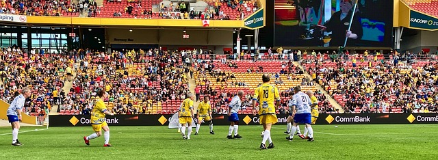 威迪都展示 威迪都展示