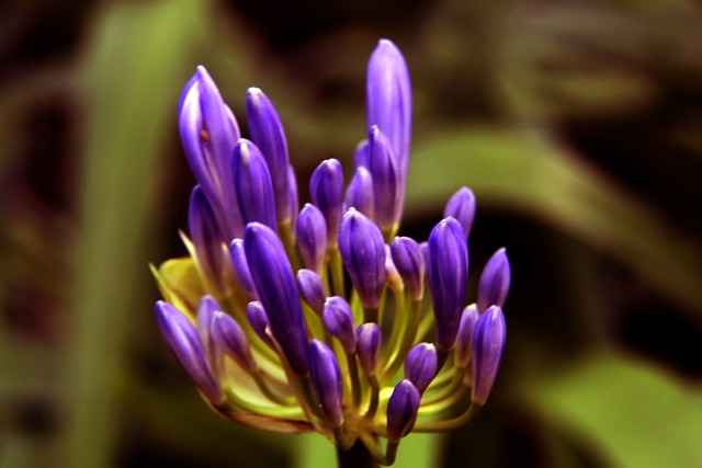 凱恩進攻端強大實力助陣！拜仁刷新紀錄連續20場歐冠揭幕戰贏球！.