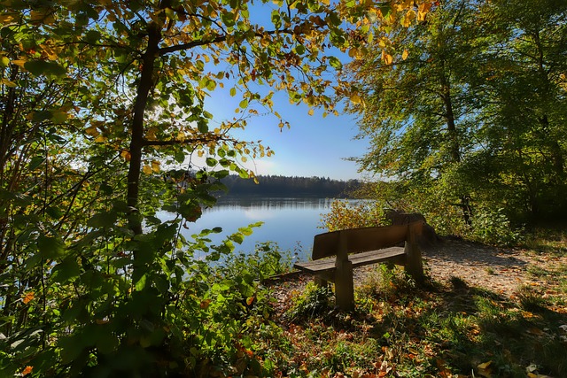 乒乓球——WTT重庆冠军赛：王楚钦晋级男单决赛.