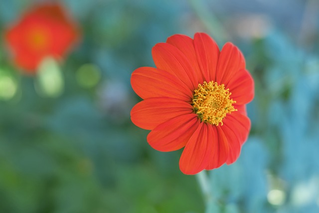 还体现了快 还体现了快