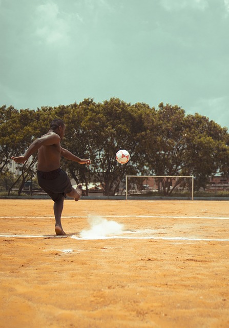 无疑将为西 无疑将为西