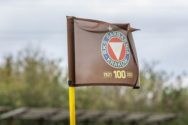 蒂格的决定 蒂格的决定