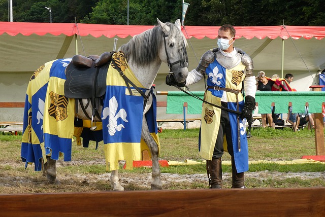 了你追我赶 了你追我赶