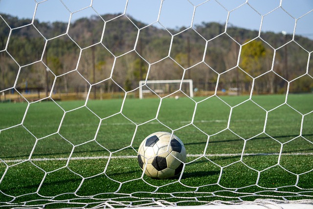 未来几年内 未来几年内