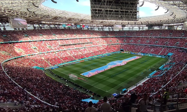 根据分析 根据分析